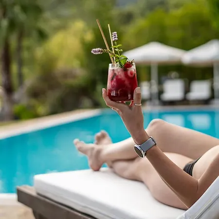 Olympos Mountain Lodge *