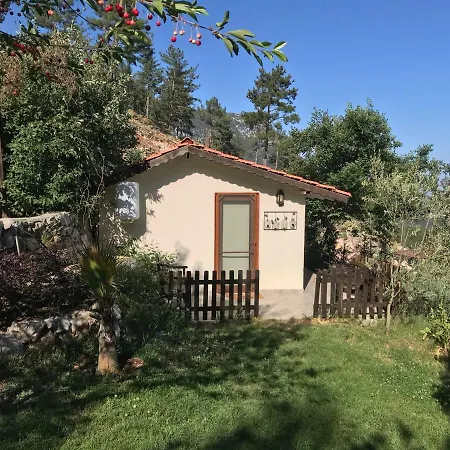 Lodge Olympos Mountain Beycik